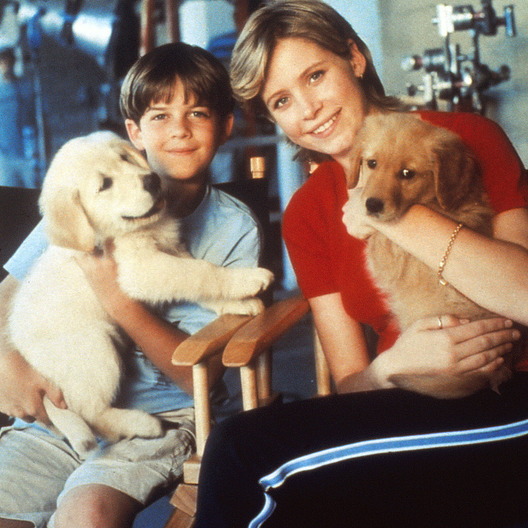 The Retrievers (2001) :: starring: Taylor Emerson, Cole Stratton