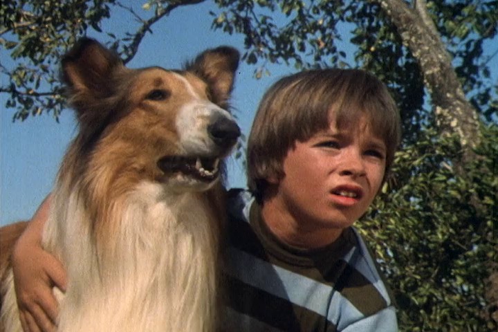 The Magic of Lassie (1978) - IMDb